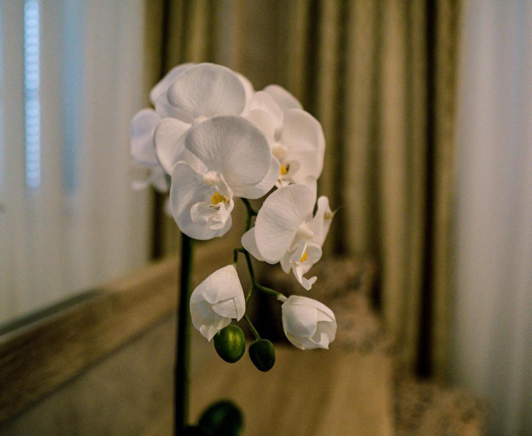 Luxury Apartments White Villa Violeta マンドレ エクステリア 写真